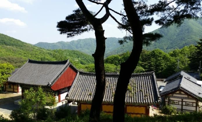 대한불교조계종 남지장사