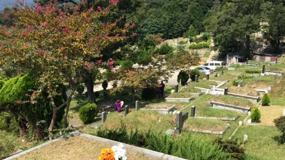 백운공원묘원(제1묘지)