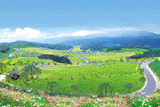 화산추모공원(묘지)