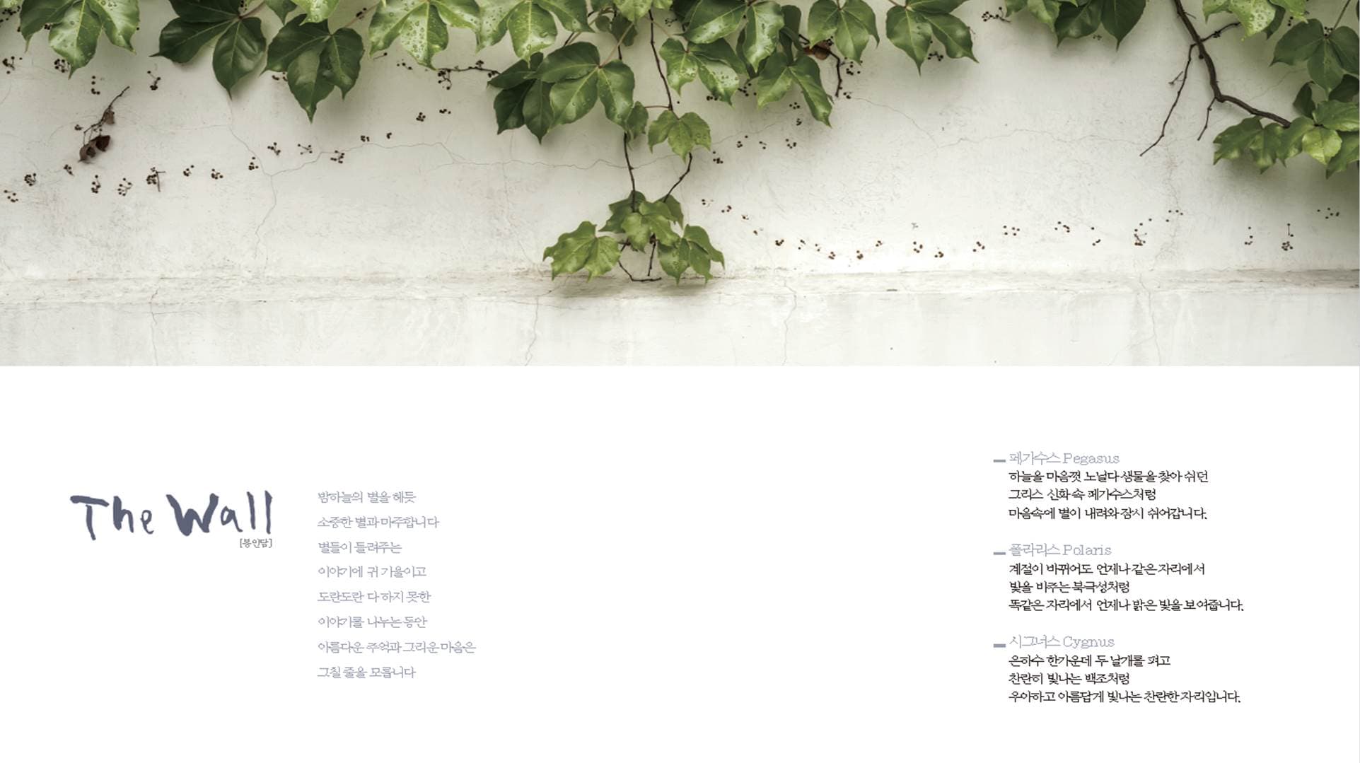 별그리다(THE WALL)