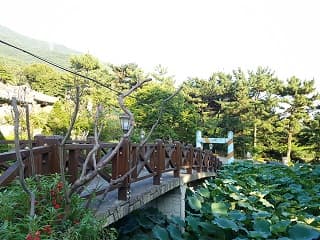 용광사