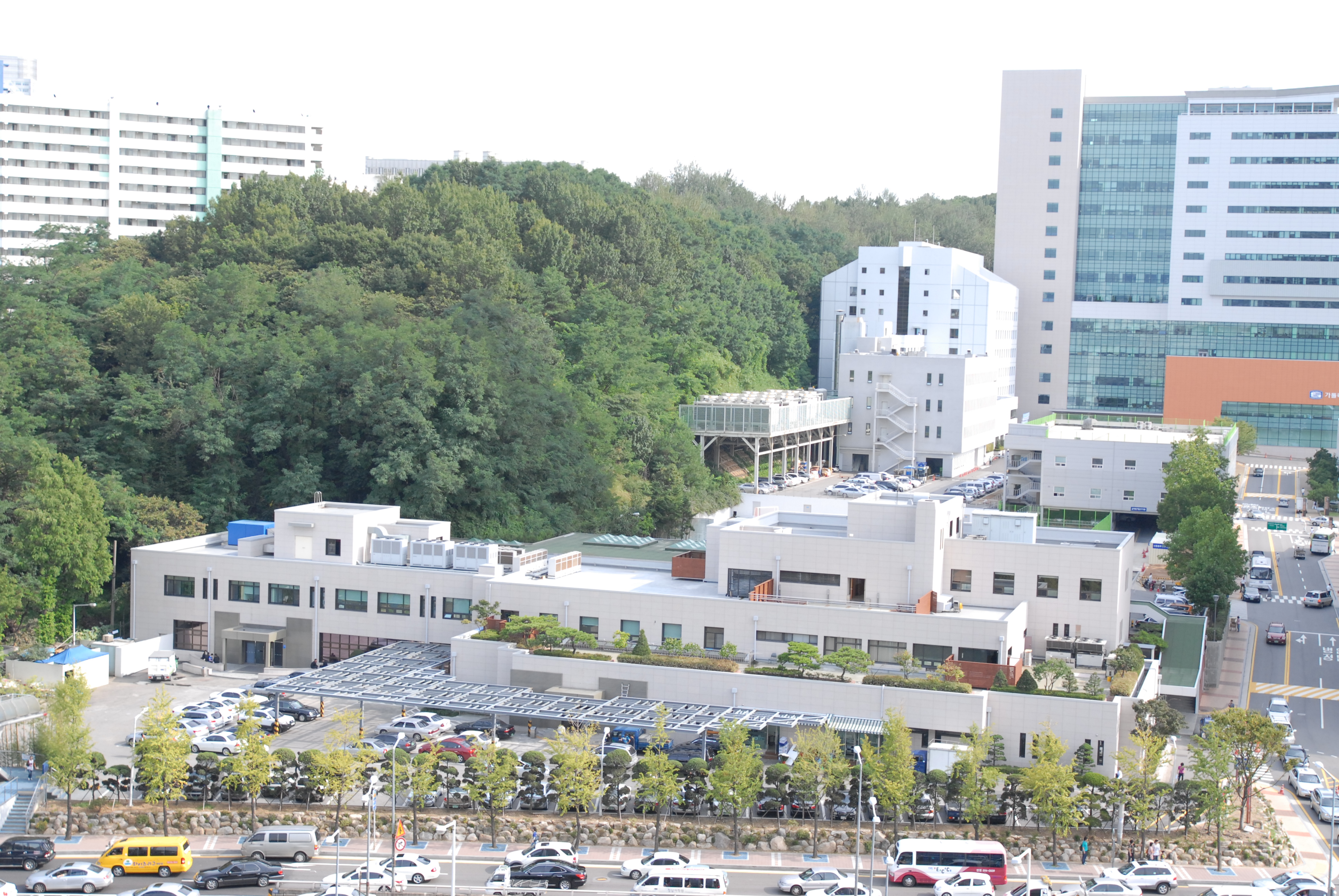 가톨릭대학교 서울성모병원 장례식장 전경 - 서울특별시 서초구