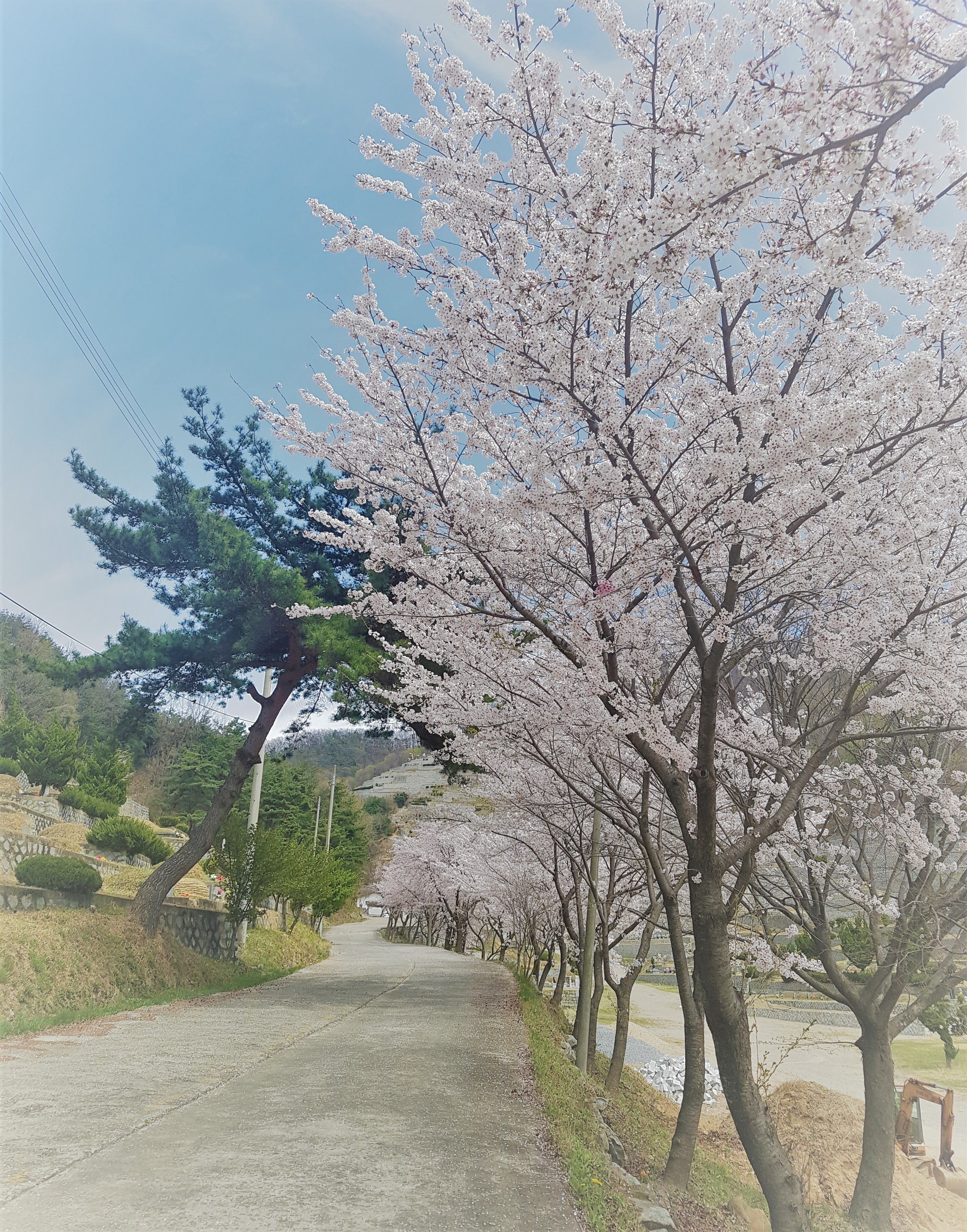 학명묘원