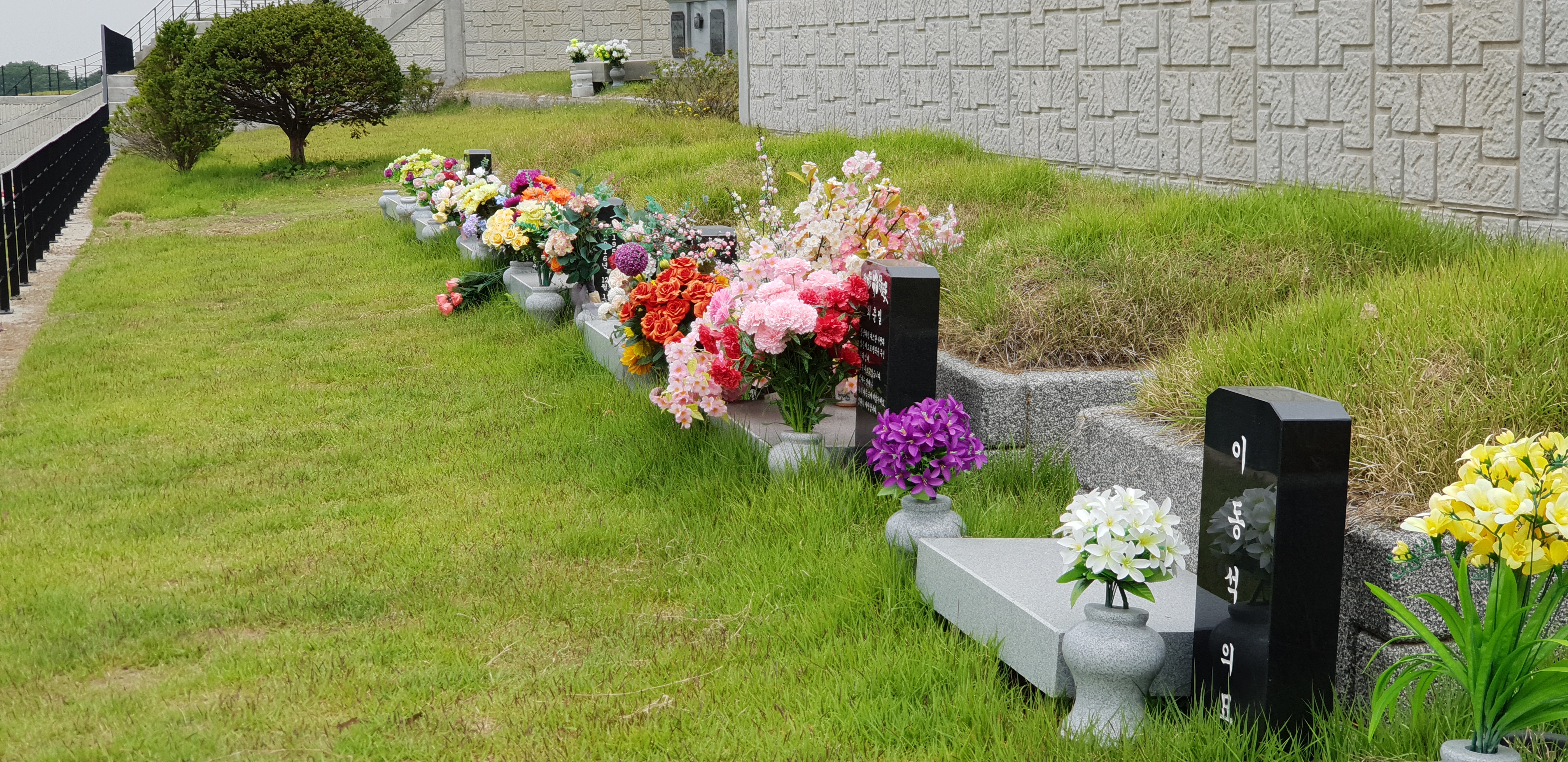 자하연 일산(묘지)