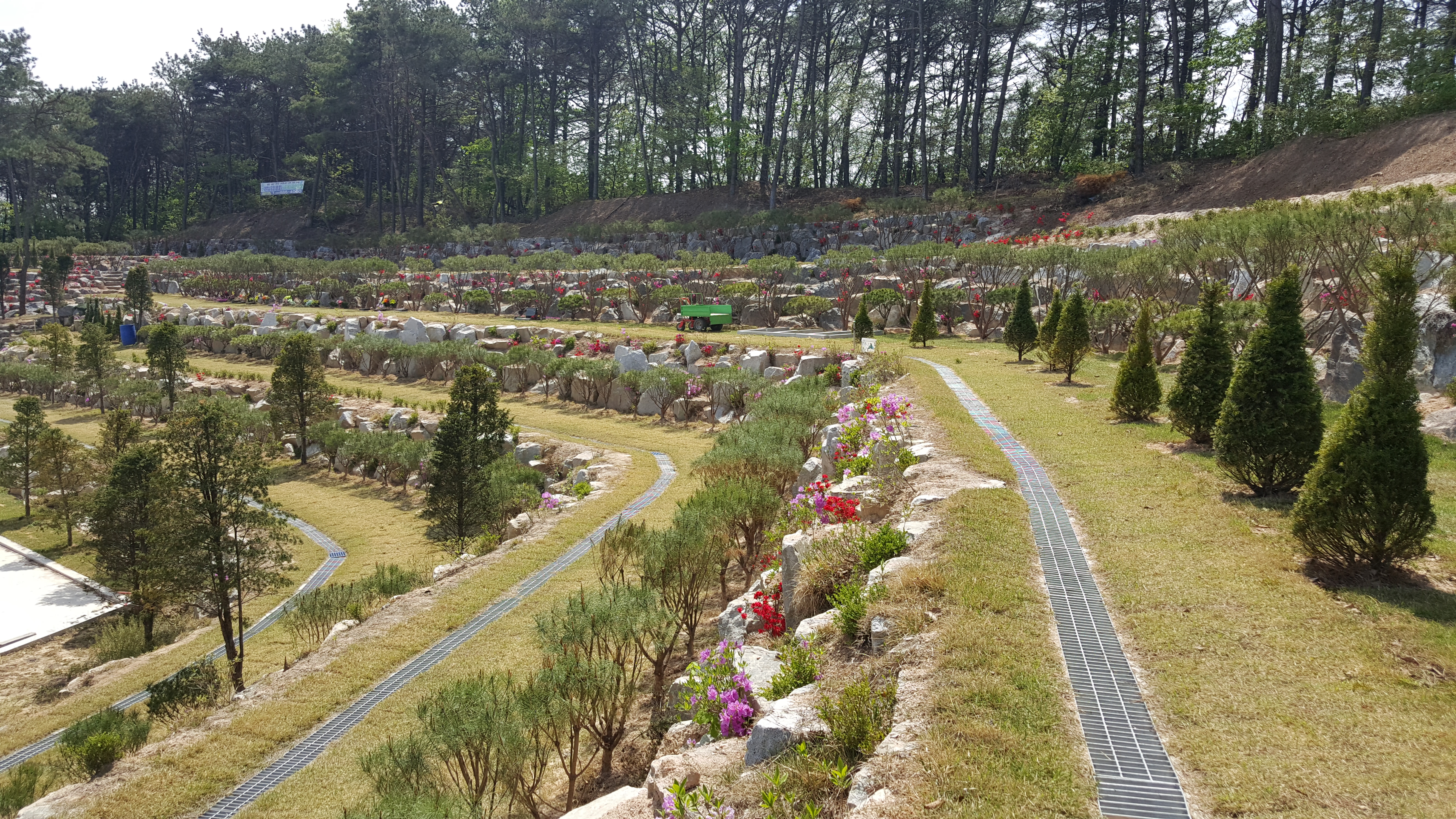 세종추모공원 수목(자연)장