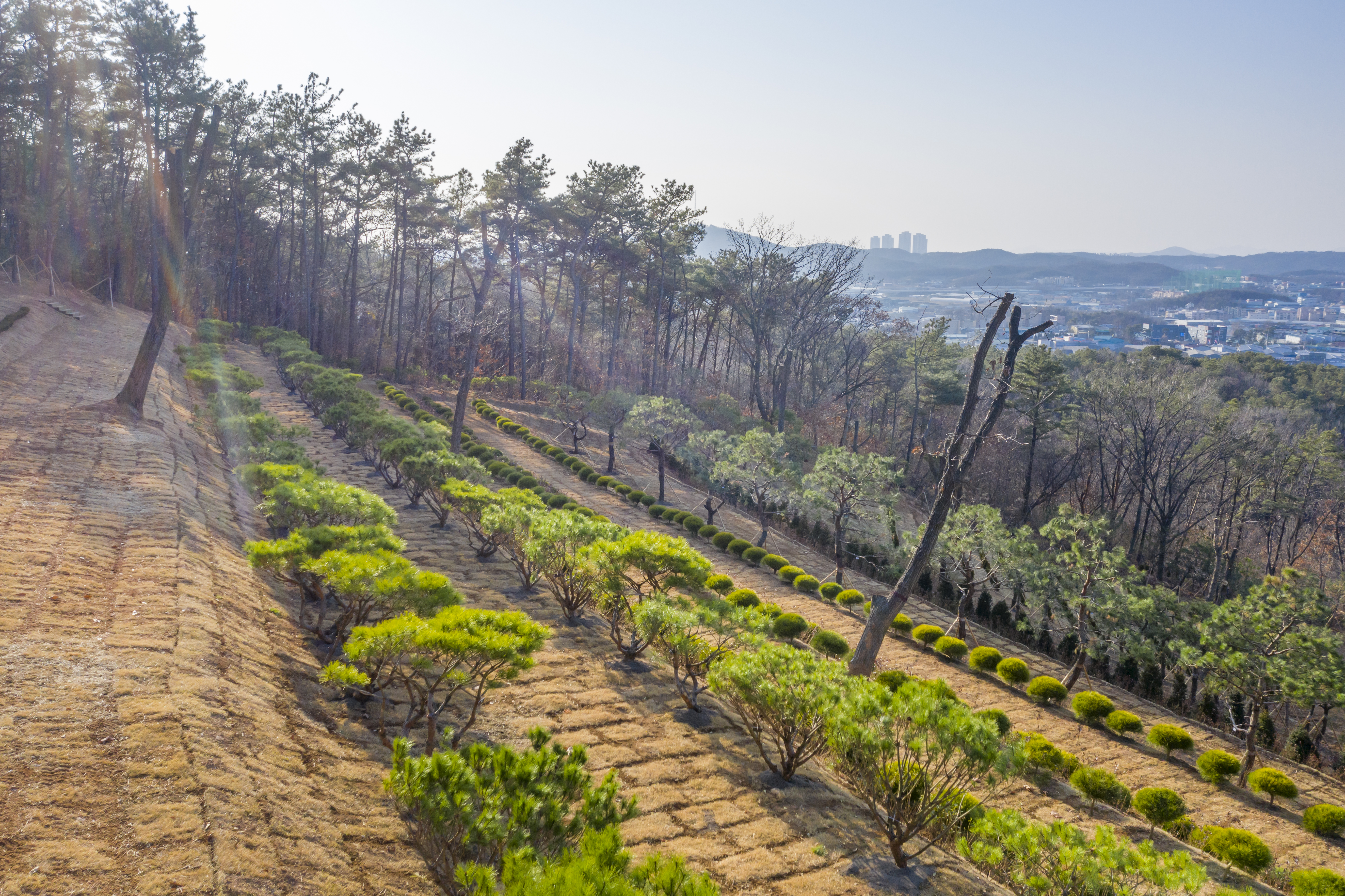 일산공감수목장(봉화사)