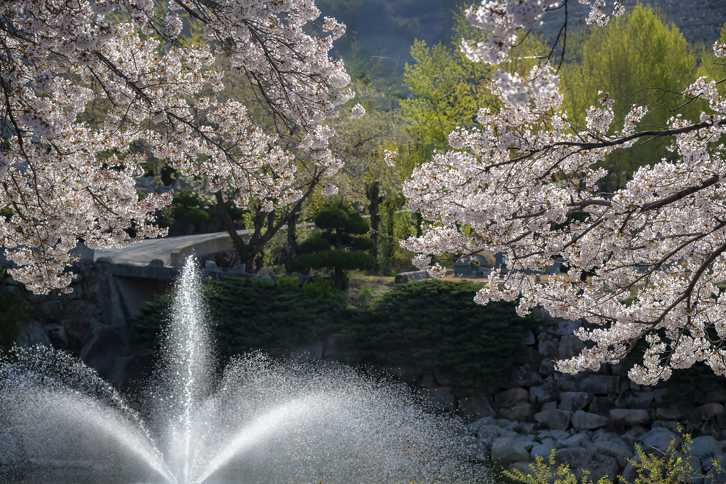 솥발산공원묘원