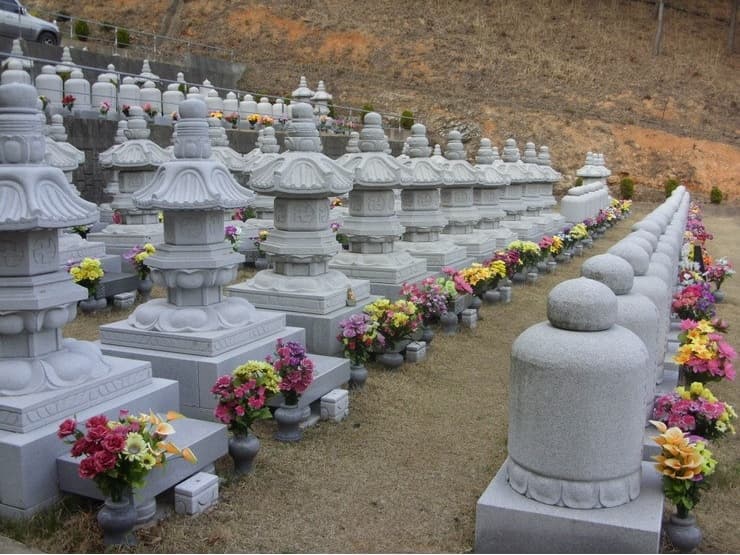 법지사